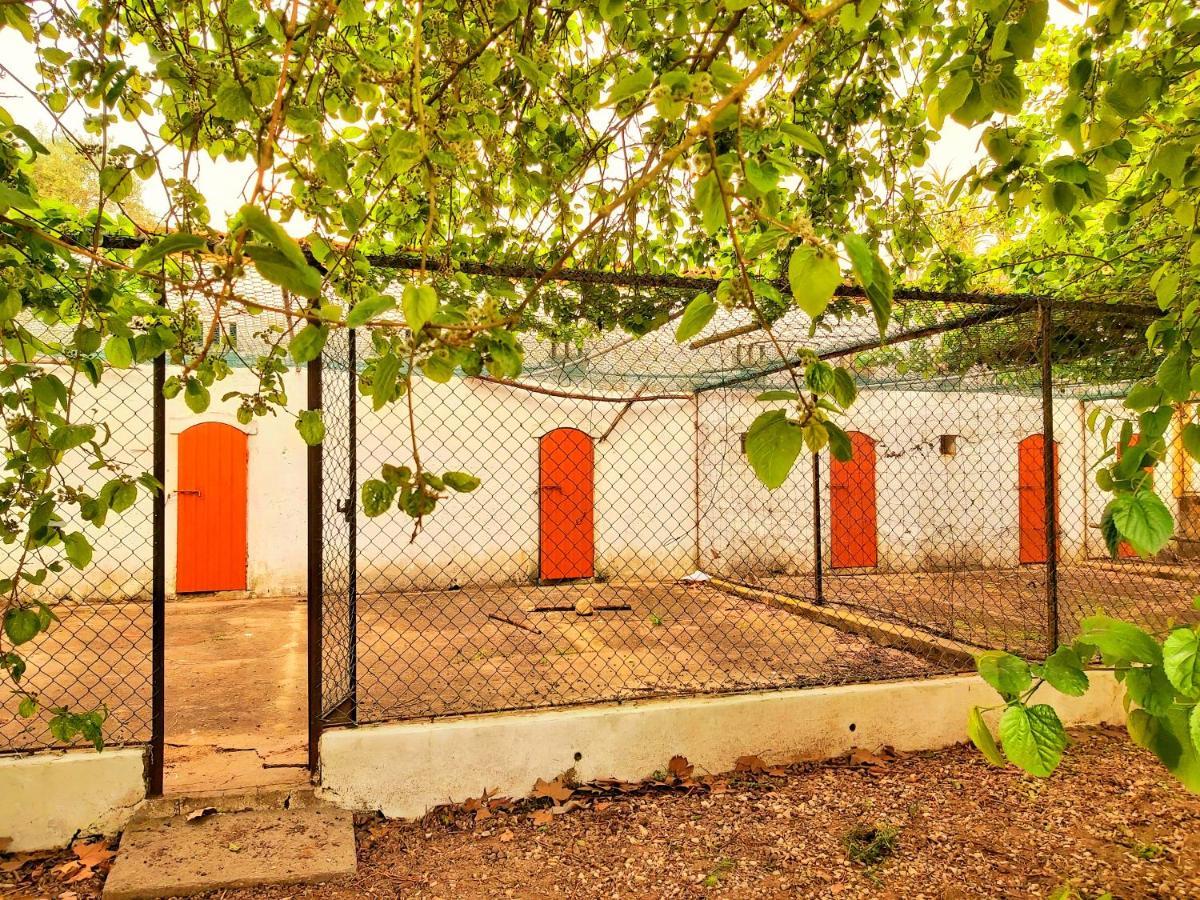 Casas Herdade Do Convento Da Serra Алмерим Екстериор снимка