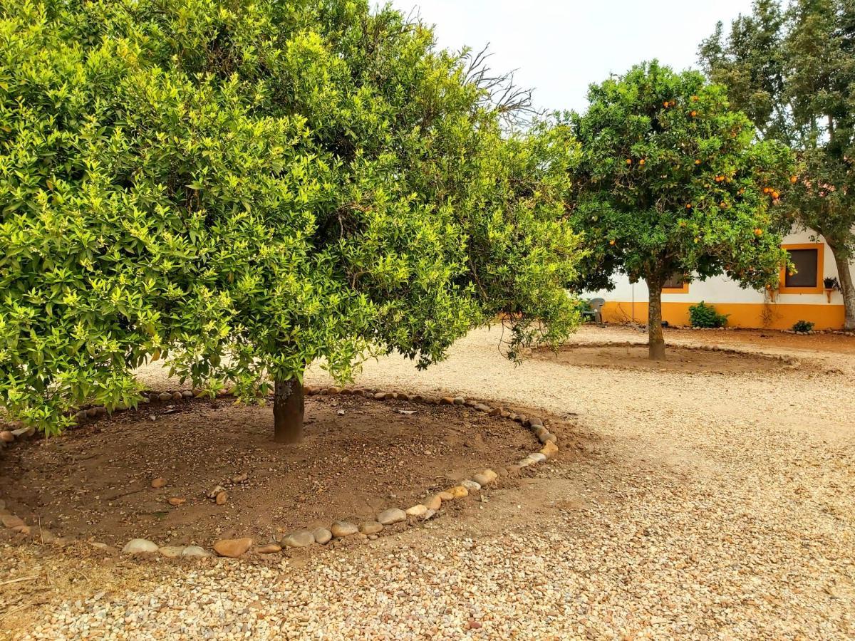 Casas Herdade Do Convento Da Serra Алмерим Екстериор снимка