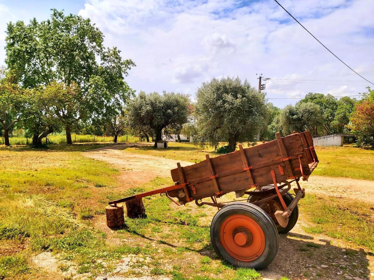 Casas Herdade Do Convento Da Serra Алмерим Екстериор снимка