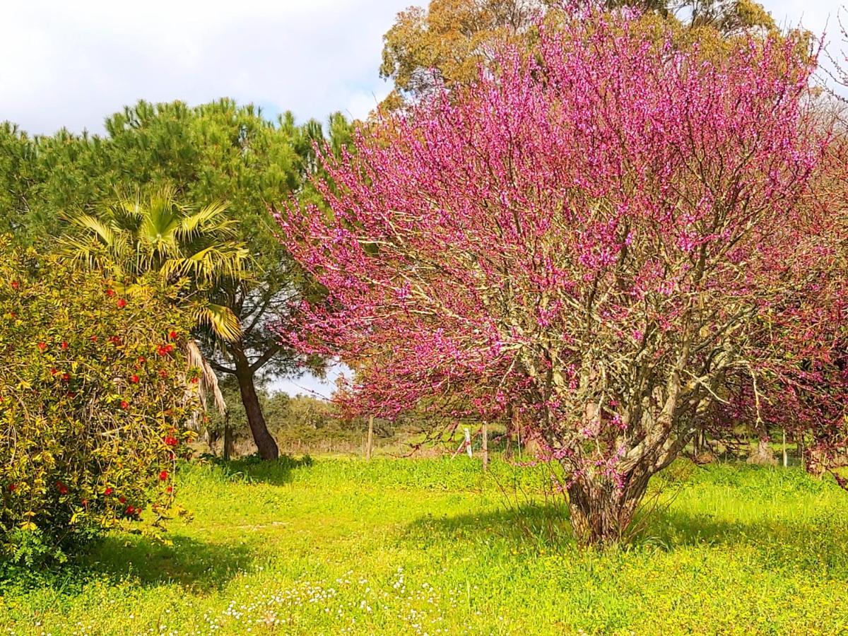 Casas Herdade Do Convento Da Serra Алмерим Екстериор снимка