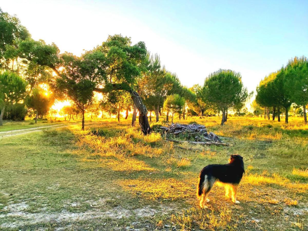 Casas Herdade Do Convento Da Serra Алмерим Екстериор снимка