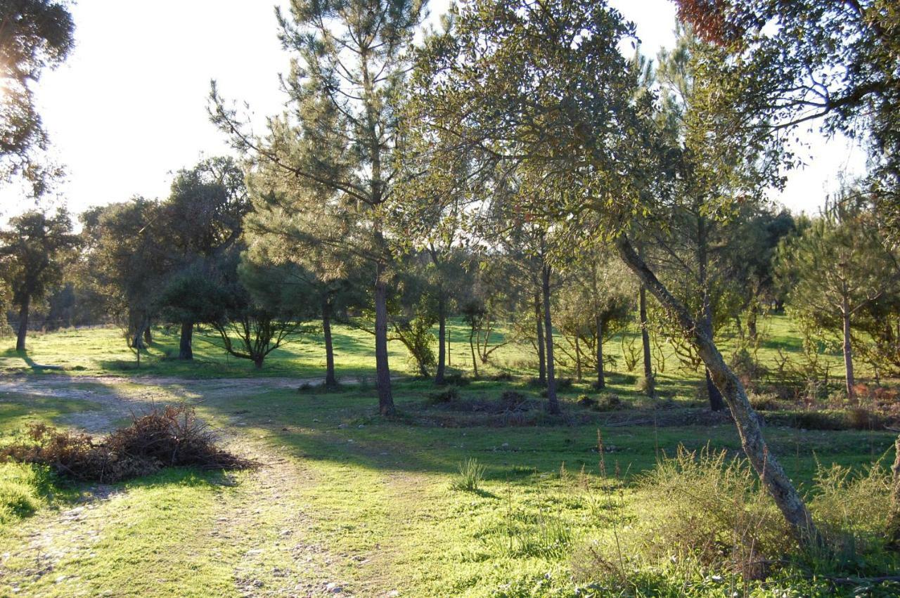 Casas Herdade Do Convento Da Serra Алмерим Екстериор снимка