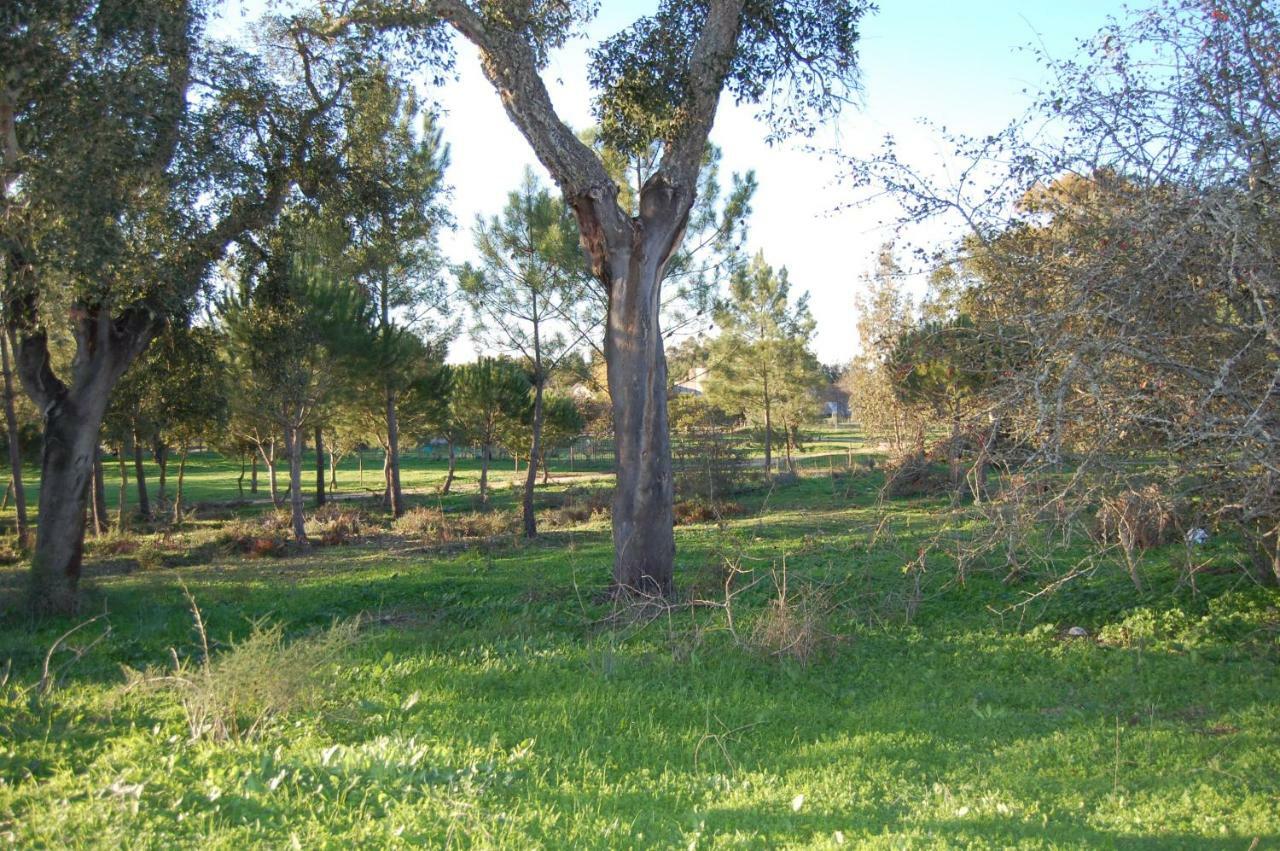 Casas Herdade Do Convento Da Serra Алмерим Екстериор снимка